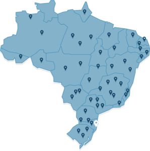 panel de encuestados en Brasil